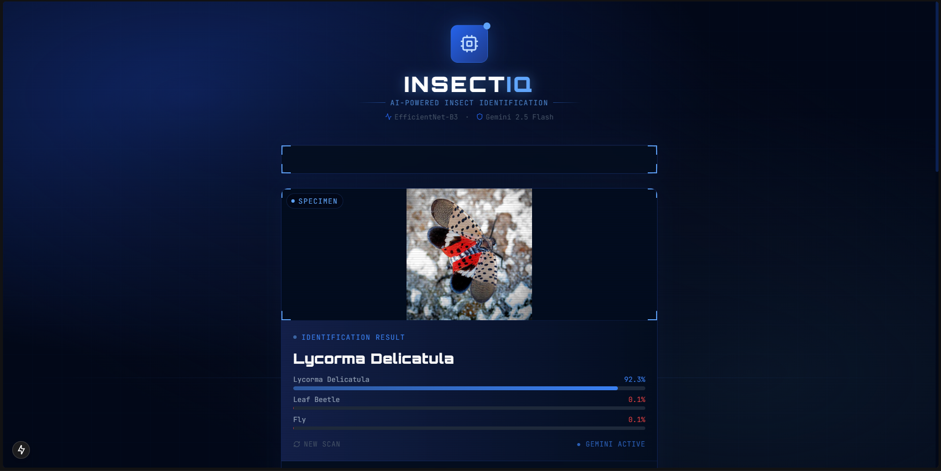 InsectIQ - AI Insect Identification